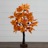2' Pre-Lit Autumn Maple Artificial Fall Tree with Acorns & Pinecones and 18 Warm White LED Lights