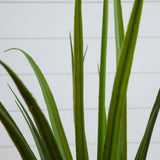 2' UV Resistant Artificial Grass Plant (Indoor/Outdoor)