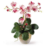 20" Artificial Mini Phalenopsis Moth Silk Orchid Arrangement"
