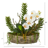 20” Orchid Phalaenopsis and Mix Succulent Artificial Arrangement