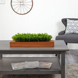 20” Sweet Grass Artificial Plant in Decorative Planter