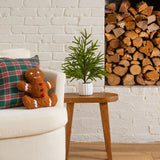 22" Artificial Real Touch Norfolk Island Pine in White Decorative Planter with Natural Look