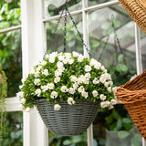 22” UV Resistant Artificial Mini Rose and Aptenia Hanging Basket (Indoor/Outdoor)