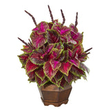 23” Coleus Artificial Plant in Decorative Planter