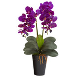 23” Double Phalaenopsis Orchid Artificial Arrangement in Vase