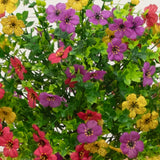 23"UV Artificial Daisy Flowering Plant with Integrated Stake (Indoor/Outdoor) - Set of 2