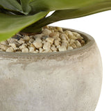 24" Agave in Sand Colored Bowl"