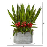 24” Bromeliad and Sansevieria Plant in Metal Planter