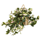 24” Hoya Artificial Plant in Decorative Hanging Frame