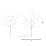 24" Pre-Lit Artificial White Birch Branches with 80 Warm White LED Lights - Set of 2