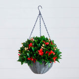24" Pre-Lit UV Resistant Artificial Red Tip Photinia & Gold Berries Christmas Hanging Basket with 34 Warm White LED Lights (Indoor/Outdoor)