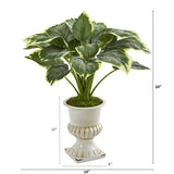 24” Variegated Hosta Artificial Plant in White Urn