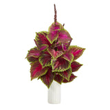 25” Coleus Artificial Plant Artificial Plant in White Planter