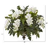 25” Phalaenopsis Orchid and Holly Fern Plant in Hanging Bowl