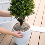 2.5' UV Resistant Artificial Boxwood Plant with Integrated Ground Stake (Indoor/Outdoor) - Set of 2