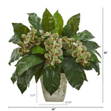 26” Phalaenopsis Orchid and Fern Plant in White Planter