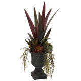 27” Mixed Succulent w/Urn