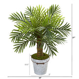 27” Robellini Palm Artificial Tree in White Washed Vintage Metal Pail