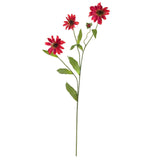 28.5" Cosmo Stem (Set of 12)"