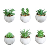 3" Artificial Mini Succulent Plants in Decorative White Oval Planters - Set of 6