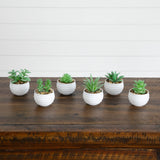 3" Artificial Mini Succulent Plants in Decorative White Oval Planters - Set of 6