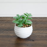 3" Artificial Mini Succulent Plants in Decorative White Oval Planters - Set of 6
