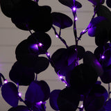 3' Pre-Lit Artificial Halloween Black Eucalyptus Tree with 80 Orange & Purple LED Lights