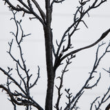 3' Pre-Lit Halloween Deluxe Black Twig Artificial Tree with 36 Orange & Purple LED Lights