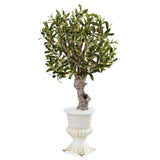 3’ Olive Tree in White Urn