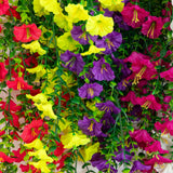 30" UV Resistant Artificial Morning Glory Hanging Plant (Indoor/Outdoor) - Set of 6