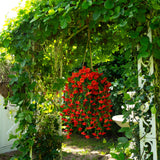 30" UV Resistant Artificial Morning Glory Hanging Plant (Indoor/Outdoor) - Set of 6