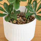 31” UV Resistant Artificial Schefflera Tree in White Decorative Planter (Indoor/Outdoor)