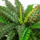 32” Artificial Self-Shaped Boston Fern Plan in Black Planter