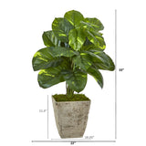 33” Dieffenbachia Artificial Plant in Country White Planter