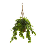 34” Peperomia Artificial Plant in Hanging Basket (Real Touch)
