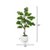 3.5' Artificial Bonsai Style Cedar Tree in Decorative White Planter