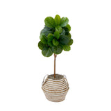 3.5' Artificial Fiddle Leaf Fig Tree with Handmade Cotton & Jute Basket with Tassels DIY KIT