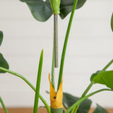 3.5' Artificial Monstera Tree in White Round Planter