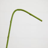 35" Artificial Orchid Flower Stems - Set of 3