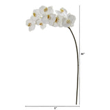 35” Phalaenopsis Orchid Artificial Flower (Set of 6)
