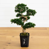 36" Artificial Cedar Bonsai