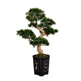 36" Artificial Cedar Bonsai