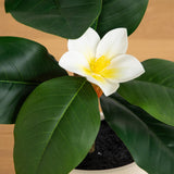 4’ Artificial Minimalist Magnolia Tree in Decorative Planter