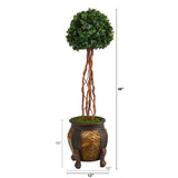 4’ English Ivy Topiary Single Ball Artificial Tree in Decorative Planter (Indoor/Outdoor)