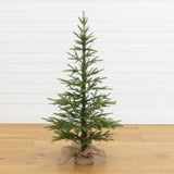 4’ Fraser Fir “Natural Look” Artificial Christmas Tree with 100 Clear LED Lights, a Burlap Base and 403 Bendable Branches