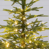 4’ Fraser Fir “Natural Look” Artificial Christmas Tree with 100 Clear LED Lights, a Burlap Base and 403 Bendable Branches