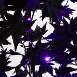 4' Pre-Lit Artificial Halloween Black Maple Tree with 180 Orange & Purple LED Lights