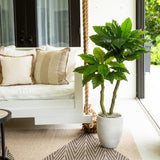 4' UV Resistant Artificial Bird Nest Fern Tree (Indoor/Outdoor)