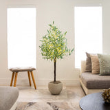 4’ Lighted Artificial Olive Tree with 240 Warm White LED Lights