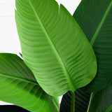 4’ Traveler's Artificial Palm Tree in Oval Planter